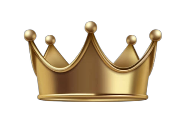 Kings Nayraa Global Logo